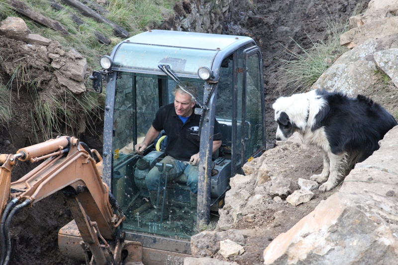 32_peteindigger.jpg - Pete, digging away.