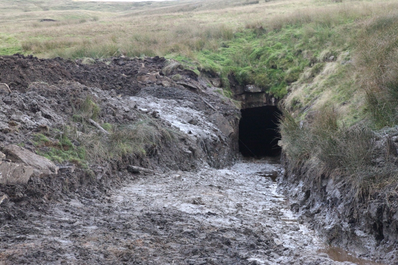 36_finished&cleared_entrance.jpg - The finished entrance dig.