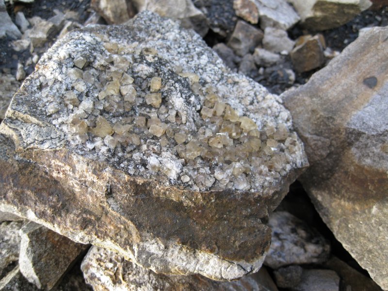 IMG_1504.jpg - Some of the deads in the burn, this ones looks to be faded amber fluorite.