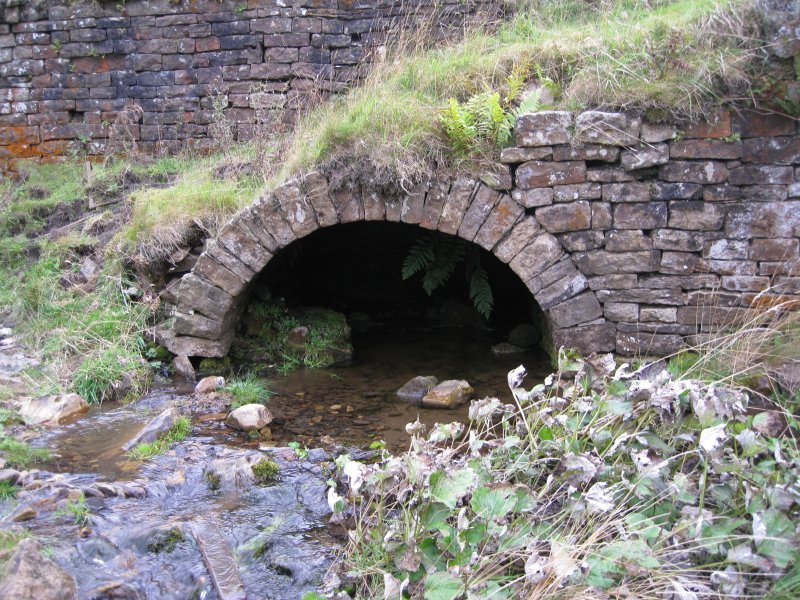 IMG_1593.jpg - A culvert at the end of the mill site.