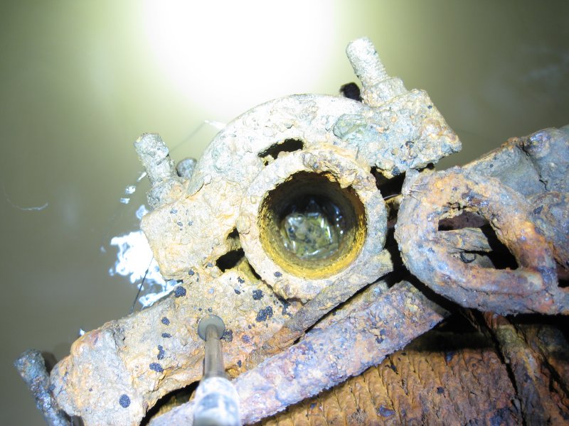 IMG_1523.jpg - Frogs really like in Middle Level.