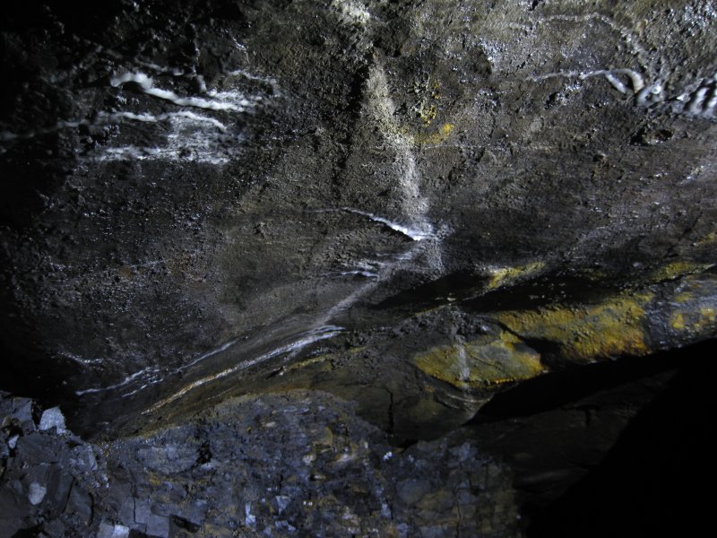 IMG_1537.jpg - At the bottom of the decline, Pete spotted that the roof was curved, as well has having the line of the vein painted on it.