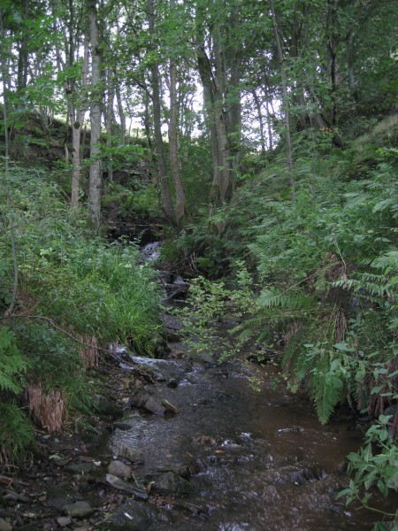 IMG_4456.JPG - Daddryshield Burn.