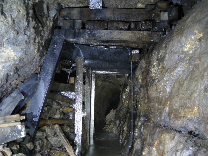 IMG_4480.JPG - The first dig.