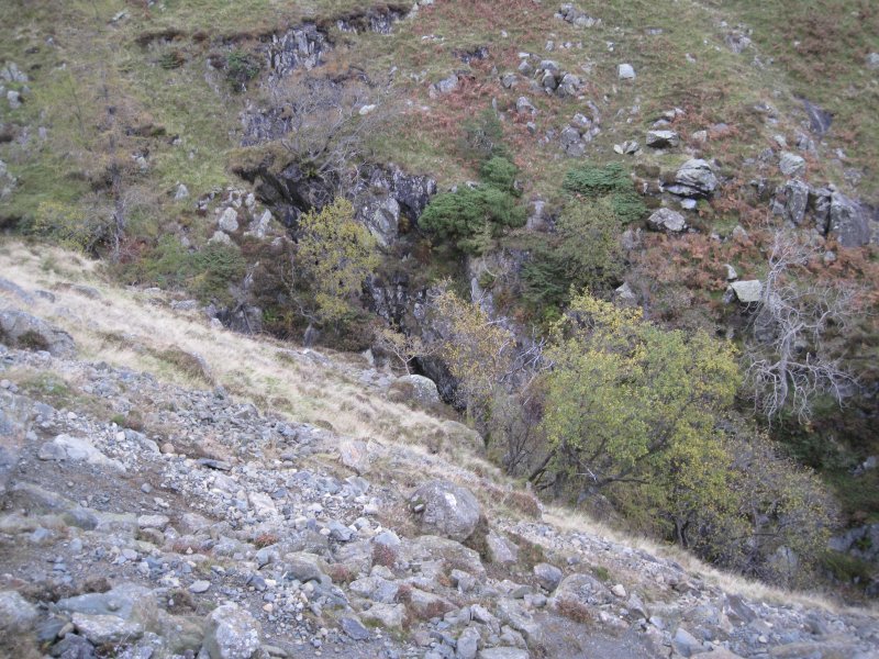 high_horse_level.jpg - The High Horse Level, down in the gully.