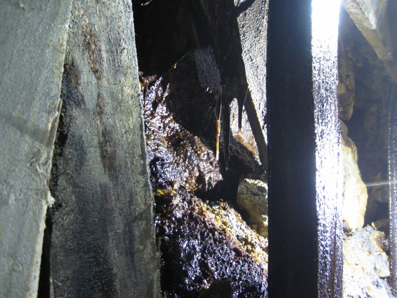 IMG_2112.jpg - Some snotites hanging from some timber.