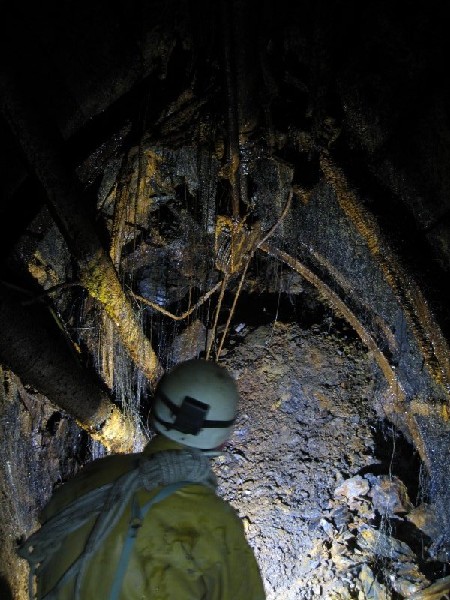 IMG_1663.jpg - Fall along the decline.