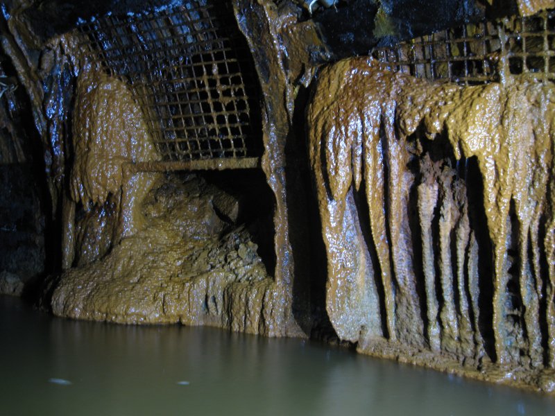 IMG_1758.jpg - Calcification on the main level.