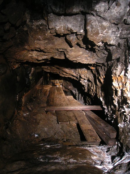 ghg_xvein_dig_past_ghg_horselevel.jpg - Looking into a backfilled level oppositethe ladder.