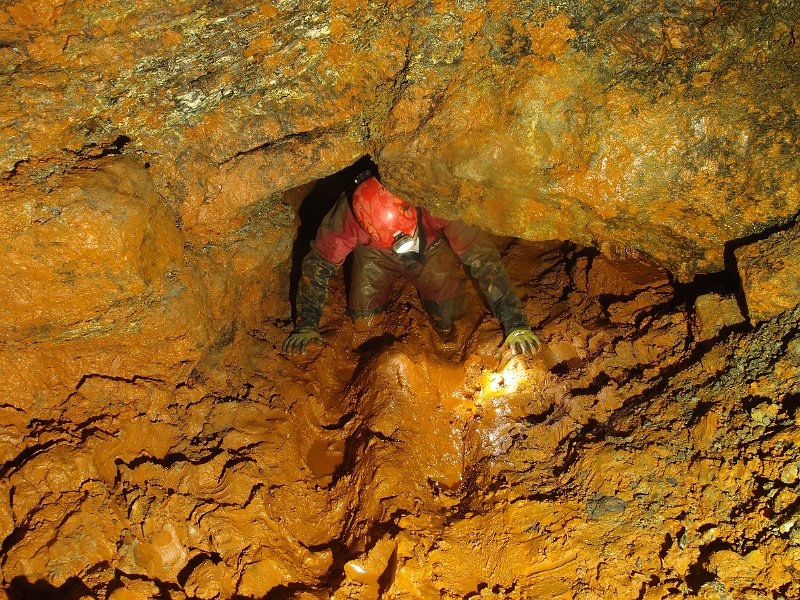 P5083623.JPG - The cleared orche pool drying out now.