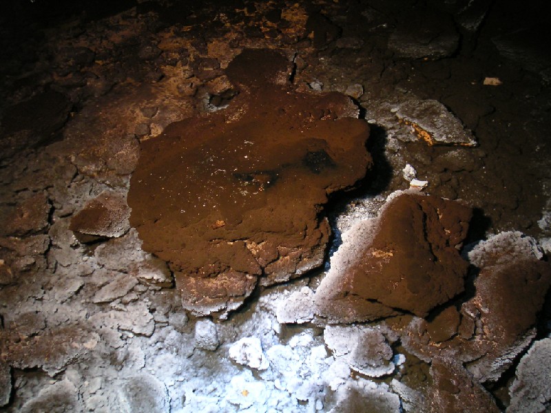 ghgl_stopepool2.jpg - A crystalised pool in the stope, very much looking like a coral reef.