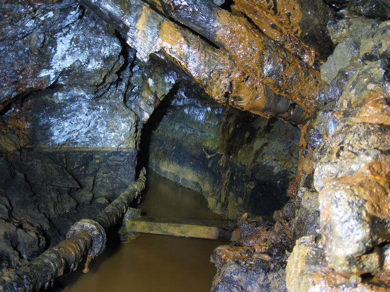 IMG_5730.JPG - Looking out into the horse level from the stope, this is inbye. The stemples here are starting to crack and look like swollen knee joints - will our knees look like that when we are older?