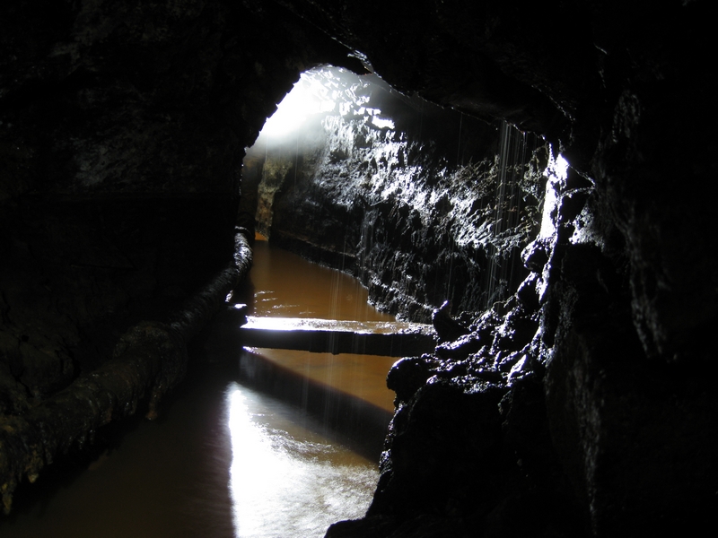 IMG_5736.JPG - Pete and Karli coming back from the orche bath.