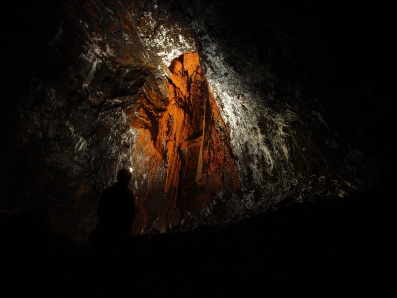 P2053297.JPG - Calcified shaft.