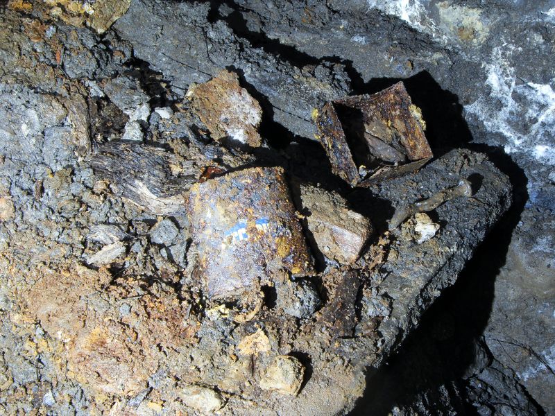 42_ghgbxv_xcuttins.jpg - Old tin and detonator box, near the fungus.