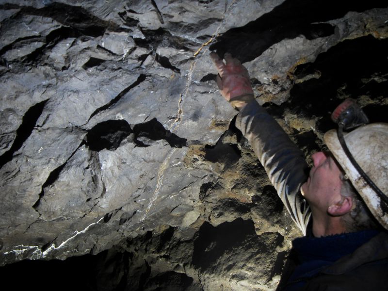 49_ghgbxv_stope_rightrib2.jpg - Dog Pete pointing to the rib on the right hand side of the stope.