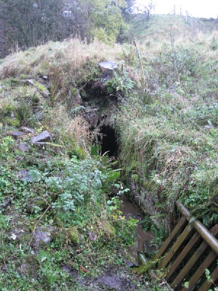 Img_4857.jpg - Harehope Gill adit.