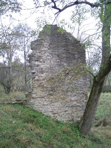 Img_4864.jpg - The fireplace end of the mine shop is all that remains of this building.