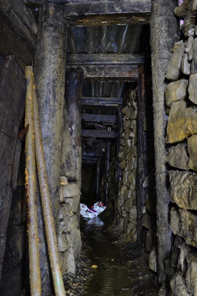 DSC_0568.JPG - Fine example of CATMHS digging on the crosscut to the Sun Vein. Photo by Karli.