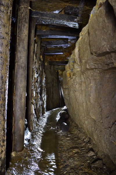 DSC_0569.JPG - Fine example of CATMHS digging on the crosscut to the Sun Vein. Photo by Karli.