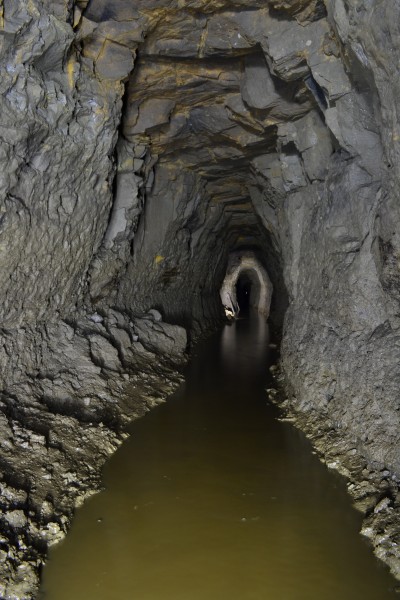 DSC_0595.JPG - View along the Hudgill Burn Waggon Way Level, not far after the junction with the crosscut to the main workings. Photo by Karli.