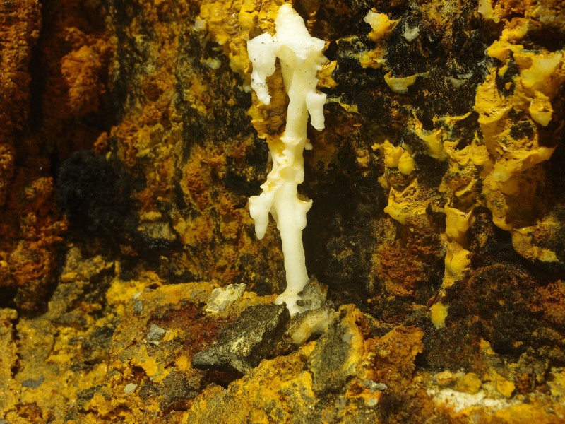 PC011912.JPG - Calcite formation.