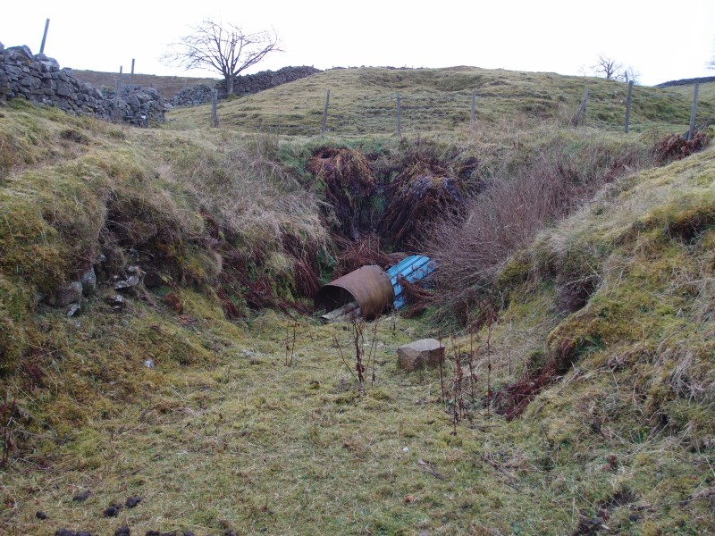 PC011948.JPG - Site of old dig.