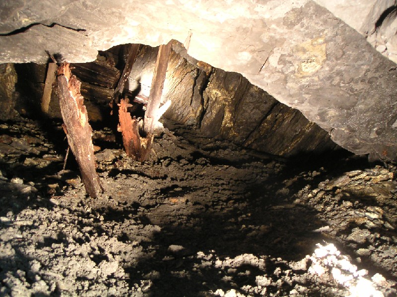 mc_riseview.jpg - Another view up the rise. Having spoken with another explorer, we found out that this led to a small working.