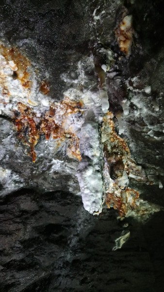 DSC_1734.jpg - Formations near Longcleugh Vein junction on the main level in. Photo by Karli.