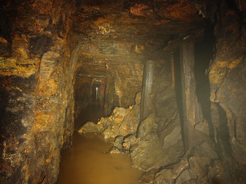 P6123880.JPG - So glad to see the light.