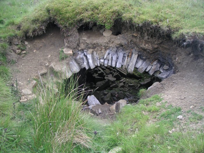 flue2.jpg - Part of a small section of the flue.