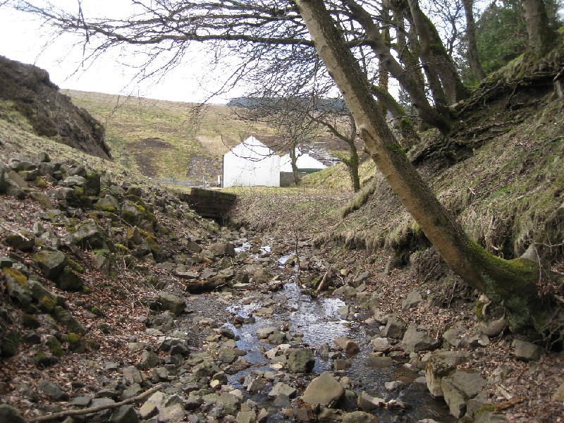 IMG_6205.JPG - Rampgill Burn, at the back of Mill Cottage.