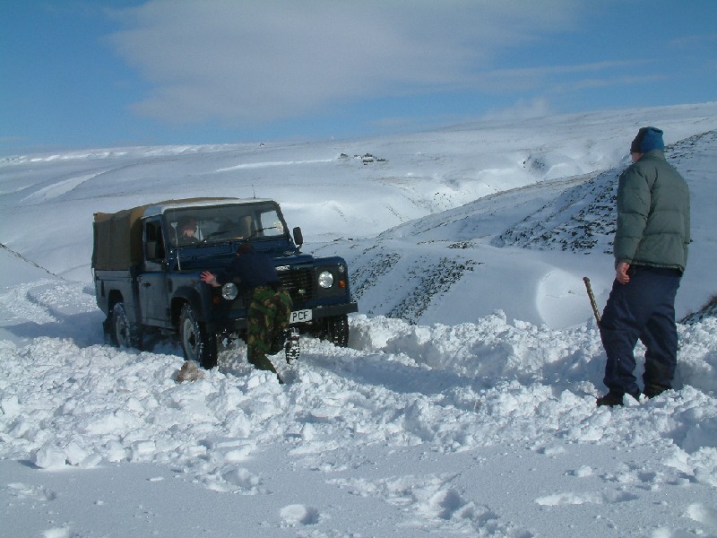 snowtrip_23.jpg - Human reversal assistance.