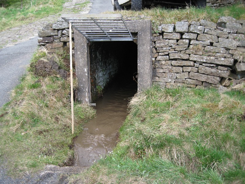 260409_10_clearedadit.jpg - 8th Dig, 26/04/09: Cleared culvert and released water flow at the adit.