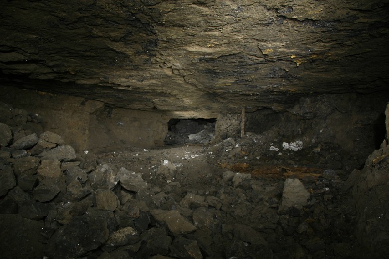 IMG_2459.jpg - Looking west in the higher flats. The dark area is where the shale roof has dropped out. Photo by Pete.