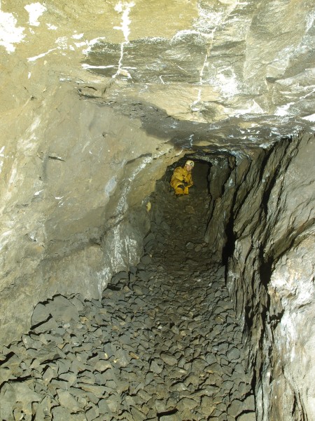 PC191664.JPG - Level in the Great Limestone on Brownley Hill East / Nentsberry Greens Cross Vein.