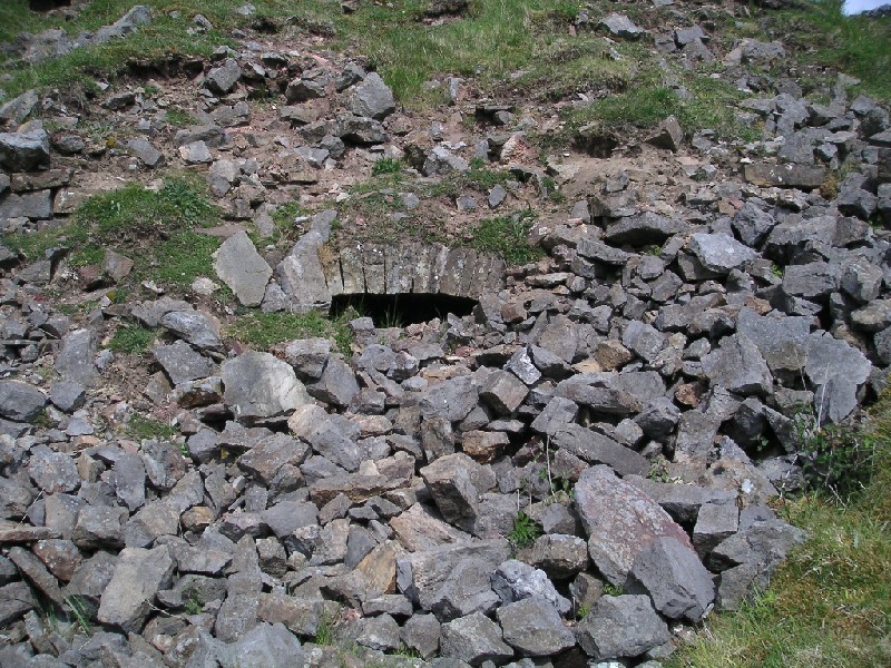 h_limekilm.jpg - The buried entrance to a lime kiln on Haggs Bank.