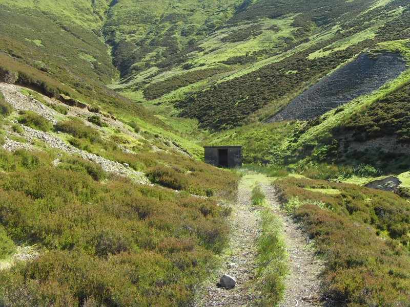 ngsf_newmagazine1.jpg - Track to what can only be, the magazine.