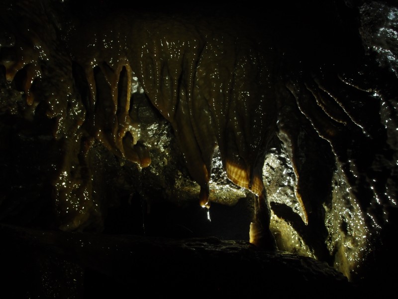 P8311031.JPG - Curtain formations flowing down from a small stope, south western branch.