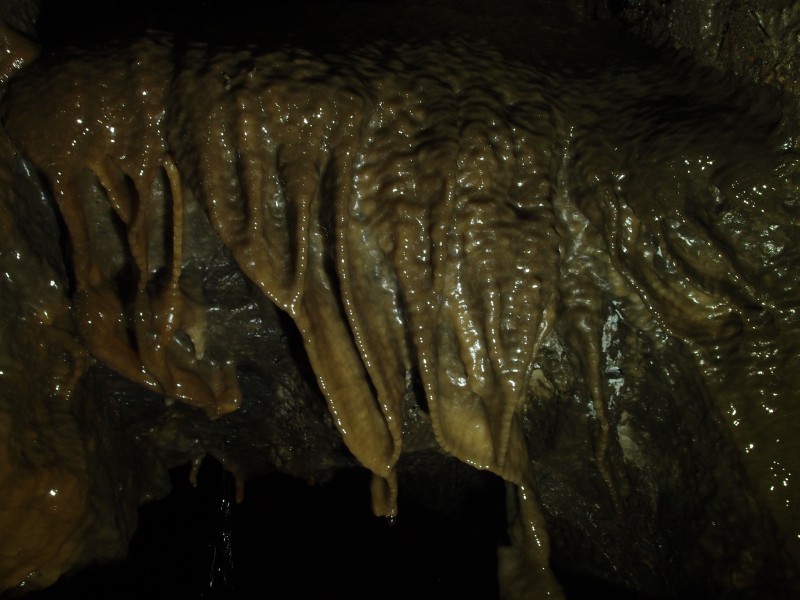 P8311033.JPG - Curtain formations flowing down from a small stope, south western branch.