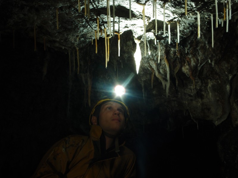 P8311043.JPG - Straw stalactites.