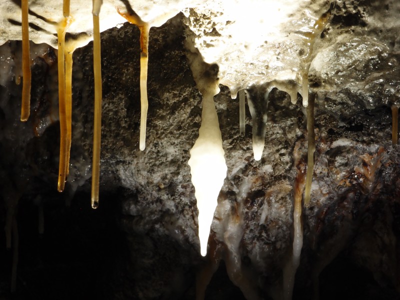 P8311052.JPG - Straw stalactites.
