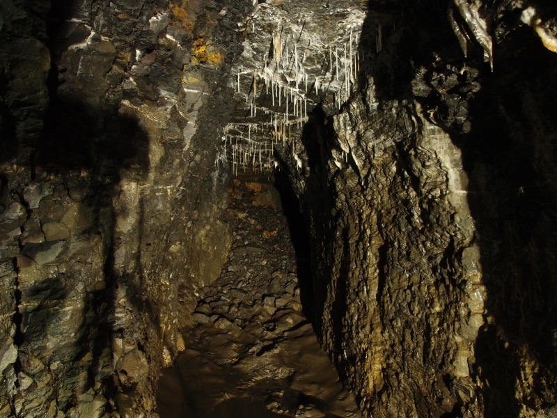 P8311057.JPG - Fall on the north east branch.