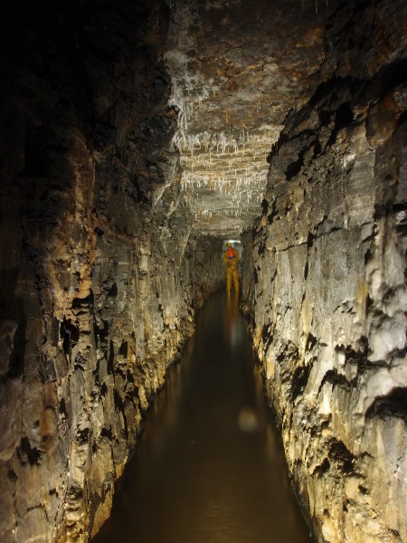 P8311072.JPG - View in along the crosscut to the vein.