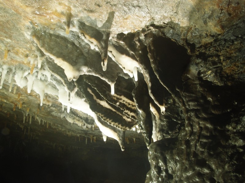 P8311078.JPG - Formations on the roof along the crosscut to the vein.