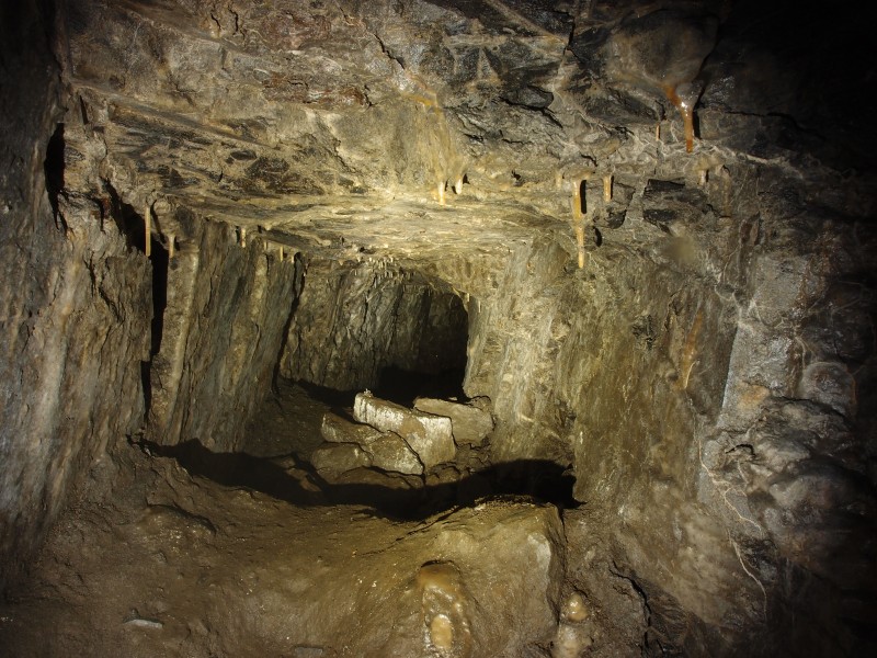 P8311080.JPG - Narrow low side levels, this is the other end of the level with the otter nest.