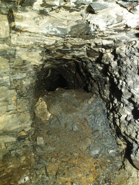 P8311084.JPG - Otter nest in one of the very low narrow side levels.