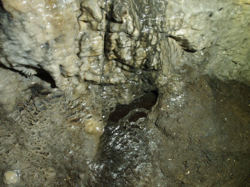 P8311086.JPG - Formations on the wall.