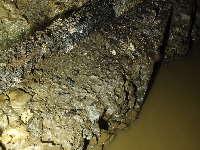 P8311088.JPG - Otter paw prints in the mud.