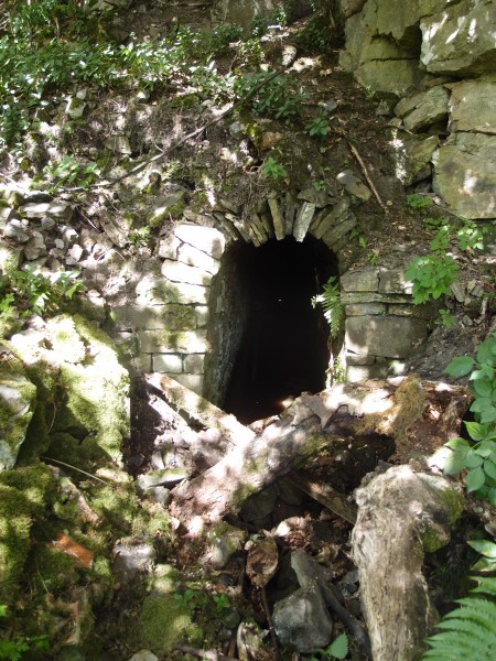 P8311093.JPG - Old Fall adit.